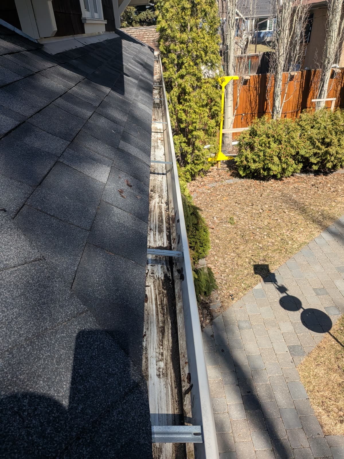Gutter full of debris before cleaning