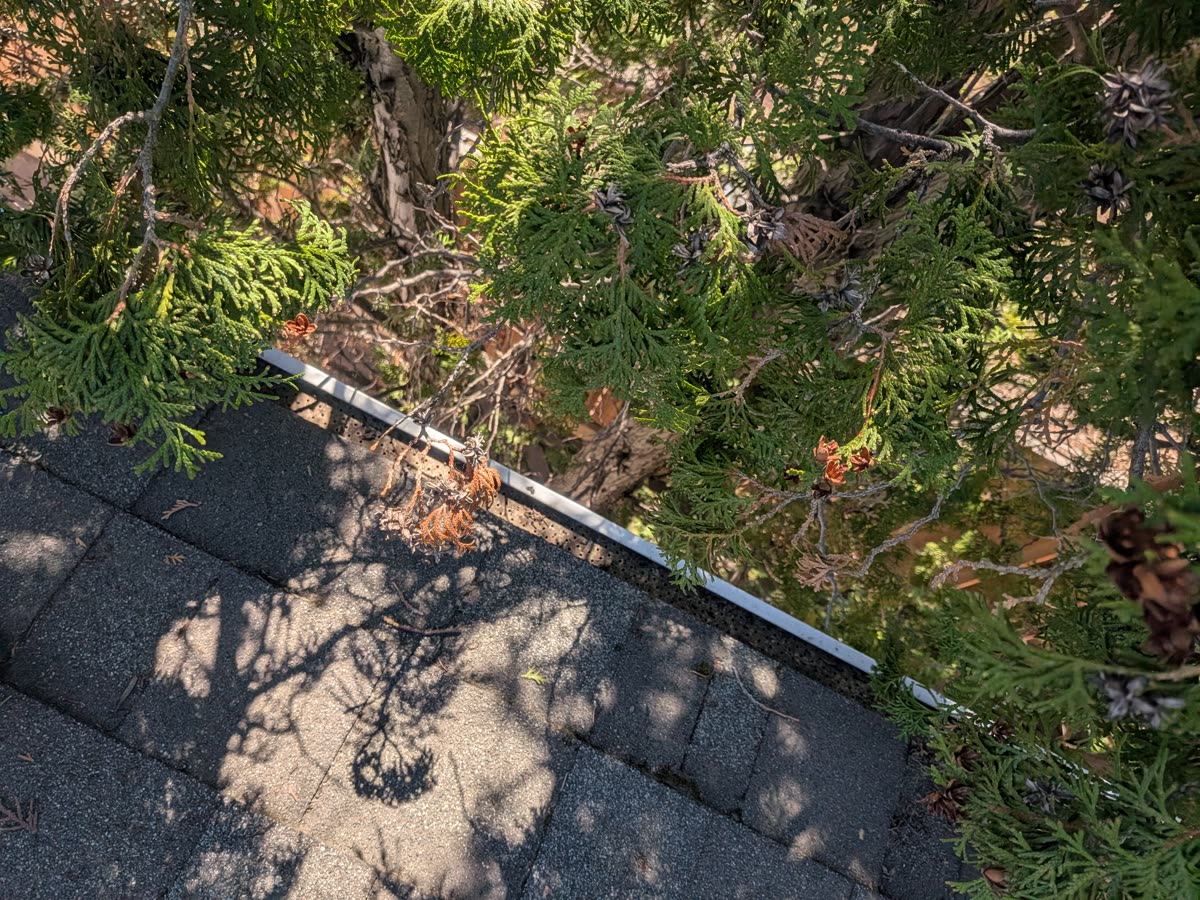 Before and after gutter cleaning comparison